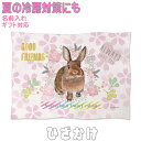 ネザーランドドワーフラビット うさぎ ウサギ 兎 誕生日プレゼント ギフト グッズ 雑貨 ひざ掛け ソフトブランケット お昼寝 ペット用 実用的なプレゼント 鳥 名入れ 名前入れ 文字入れ 寝具 赤ちゃん用毛布 暖かい 車用 出産祝い おしゃれ かわいい KYAPIArt きゃぴあーと