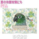 ウロコインコ グッズ 雑貨 ひざ掛け ソフトブランケット お昼寝 ペット用 ギフト 実用的なプレゼント 鳥 名入れ 名前入れ 文字入れ 寝具 赤ちゃん用毛布 暖かい 車用 出産祝い おしゃれ かわいい KYAPIArt きゃぴあーと