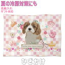 キャバリア イヌ 犬 誕生日プレゼント ギフト グッズ 雑貨 ひざ掛け ソフトブランケット お昼寝 ペット用 実用的なプレゼント 鳥 名入れ 名前入れ 文字入れ 寝具 赤ちゃん用毛布 暖かい 車用 出産祝い かわいい KYAPIArt きゃぴあーと