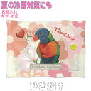 ゴシキセイガイインコ ギフト 誕生日プレゼント 出産祝い 入学祝い 入社祝い グッズ 雑貨 ひざ掛け ソフトブランケット お昼寝 ペット用 実用的 鳥 名入れ 名前入れ 文字入れ 寝具 赤ちゃん用毛布 暖かい 車用 おしゃれ かわいい KYAPIArt きゃぴあーと