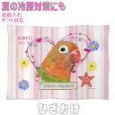 ボタンインコ グッズ 雑貨 ひざ掛け ソフトブランケット お昼寝 ペット用 ギフト 実用的なプレゼント 鳥 名入れ 名前入れ 文字入れ 寝具 赤ちゃん用毛布 暖かい 車用 出産祝い おしゃれ かわいい KYAPIArt きゃぴあーと