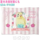 セキセイインコ ハルクイン グッズ 雑貨 ひざ掛け ソフトブランケット お昼寝 ペット用 ギフト 実用的なプレゼント 鳥 名入れ 名前入れ 文字入れ 寝具 赤ちゃん用毛布 暖かい 車用 出産祝い おしゃれ かわいい KYAPIArt きゃぴあーと