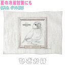 文鳥 ぶんちょう ブンチョウ グッズ 雑貨 モダン レトロ アッシュ セピア ひざ掛け ソフトブランケット お昼寝 ペット用 ギフト 実用的なプレゼント 鳥 名...