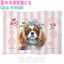キャバリア イヌ 犬 誕生日 プレゼント ギフト グッズ 雑貨 ひざ掛け ソフトブランケット 花 王冠 リース お昼寝 ペット用 実用的なプレゼント 名入れ 名前入れ 文字入れ 寝具 赤ちゃん用毛布 暖かい 車用 出産祝い 可愛い