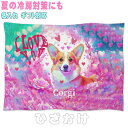 コーギー イヌ 犬 誕生日 プレゼント ギフト グッズ 雑貨 ひざ掛け ソフトブランケット お昼寝 ペット用 実用的なプレゼント 名入れ 名前入れ 文字入れ 寝具 赤ちゃん用毛布 暖かい 車用 出産祝い 可愛い 1