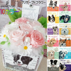 犬 ペット 仏花 仏壇 お供え お悔み フラワーギフト 花ギフト プレゼント 花 プリザーブドフラワー 贈り物 花束 フラワーアレンジメント チワワ トイプードル シュナウザー パグ ビジョンフリーゼ マルチーズ ヨークシャーテリア ボーダーコリー 秋田犬 シェルティ 柴犬 豆柴