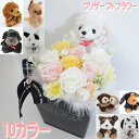 犬 猫 ベア くま 熊 プリザーブドフラワー 母の日 フラワーギフト 贈り物 ギフト プレゼント 花束 フラワーアレンジメント バラ 薔薇 グッズ トイプードル チワワ パグ犬 ミニチュアダックス ラブラドール ダルメシアン ヨークシャテリア ブルテリア