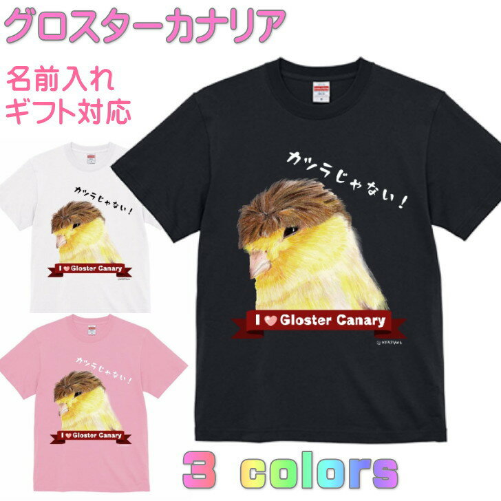 【納期2週間】おもしろ tシャツ カツラじゃない グロスターカナリア 面白い動物 かわいい ギフト 誕生日 プレゼント 鳥グッズ お祝い 名入れ 名前入れ 文字入れ 対応商品 還暦祝い 鳥好き インコグッズ 洋服 レディース メンズ 男女兼用 記念品 KYAPIArt きゃぴあーと