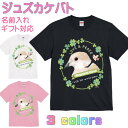 ジュズカケバト 鳩 Tシャツ かわいい ギフト 誕生日 プレゼント 鳥グッズ お祝い 名入れ 名前入れ 文字入れ 対応商品 還暦祝い 動物 鳥好き インコグッズ 洋服 レディース メンズ ホワイト ブラック ピンク 白 黒 記念品 KYAPIArt きゃぴあーと