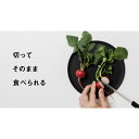 CHOPLATE（174mm）まな板になるお皿 食洗器OK 電子レンジ対応 日本製 アウトドア お皿 黒色 マット まな板 割れにくい