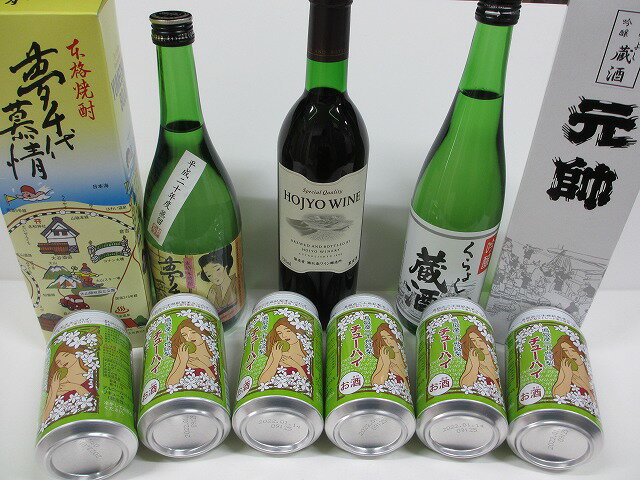【お酒欲ばりセット】鳥取 倉吉 仕送り お土産 ワイン 日本