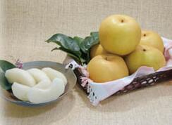 鳥取県産 新甘泉梨