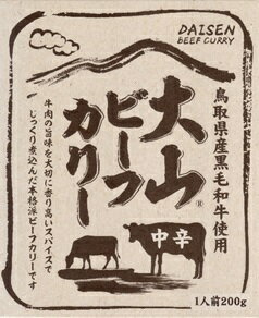 【大山ビーフカリー(1人前200g)】鳥取 大山 レトルトカレー ビーフカリー お土産