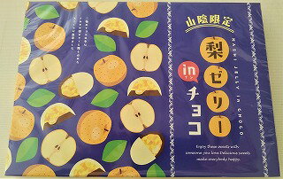 冬季限定【梨ゼリーinチョコ 40個入】山陰 鳥取 島根 お土産 贈り物 お礼 お返し チョコ 梨チョコ おやつ お菓子