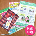 【オリジナル印刷】オフセット フルカラーチラシ 片面印刷 100枚(印刷 販促 促進 宣伝 チラシ ビラ フライヤー)