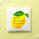 10個まで【メール便対応可】瀬戸内レモン アロマバスソルト 入浴剤 入浴料 暑い夏はお風呂もスッキリ 爽快感 リフレッシュ 雑貨小物 サマーギフト プレゼント ...