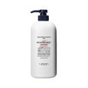 ルベル ナチュラル ヘア トリートメント ウィズ RP ライスプロテイン 720ml 正規品 トリートメント 大容量 詰め替え ボトル メンズ 美容室専売 サロン専売品 匂い 洗い流す 洗い流さない 髪質改善 ハイダメージ お試し