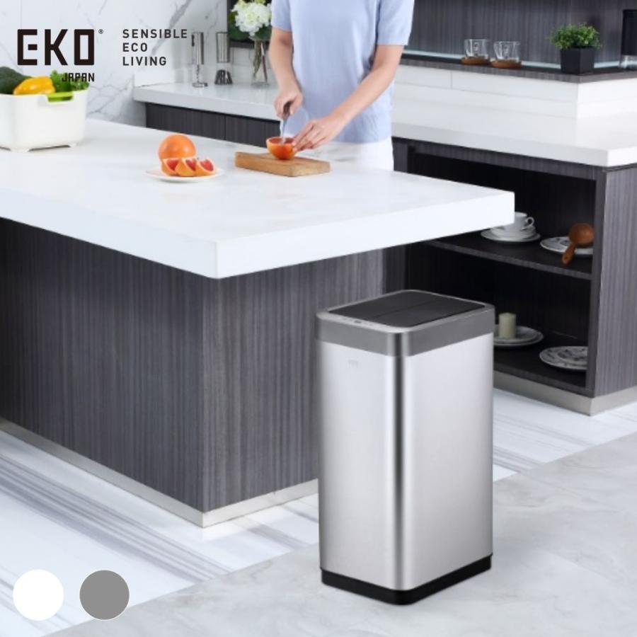 Pipe Type - 《全2色》EKO ファントムXセンサービン 45L【 1年保証 スリム 自動感知 オートセンサー 自動開閉 自動開封センサー ゴミ箱 くず入れ 大容量 角型 45リットル ダストボックス ステンレス製 静音】