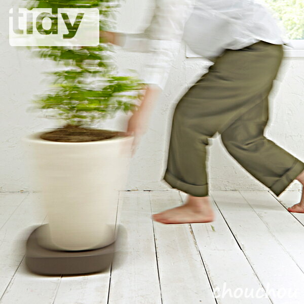 《全3色》tidy プランタブル 植木鉢トレイ Plantable ティディー 【テラモト 観葉植物 デザイン雑貨 玄関 ガーデニング バルコニー ベランダ オフィス 植木鉢トレー】 2