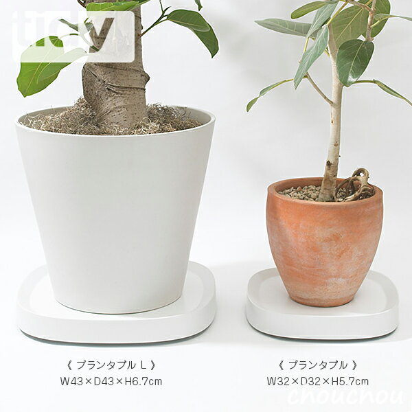 キャスター付き観葉植物トレー 送料無料 新品 全3色 Tidy プランタブルl 植木鉢トレイ L Plantable ティディー