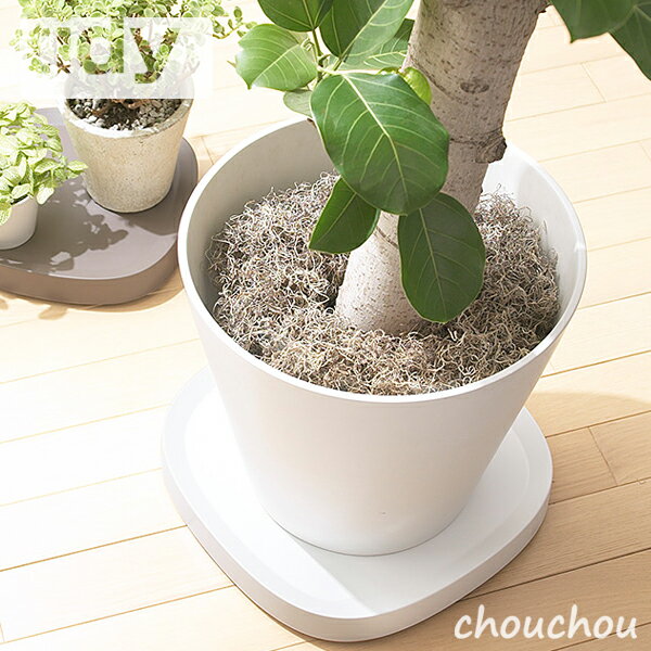 《全3色》tidy プランタブルL 植木鉢トレイ Plantable L ティディー 【テラモト 観葉植物 デザイン雑貨 玄関 ガーデニング バルコニー ベランダ オフィス 植木鉢トレー】 1