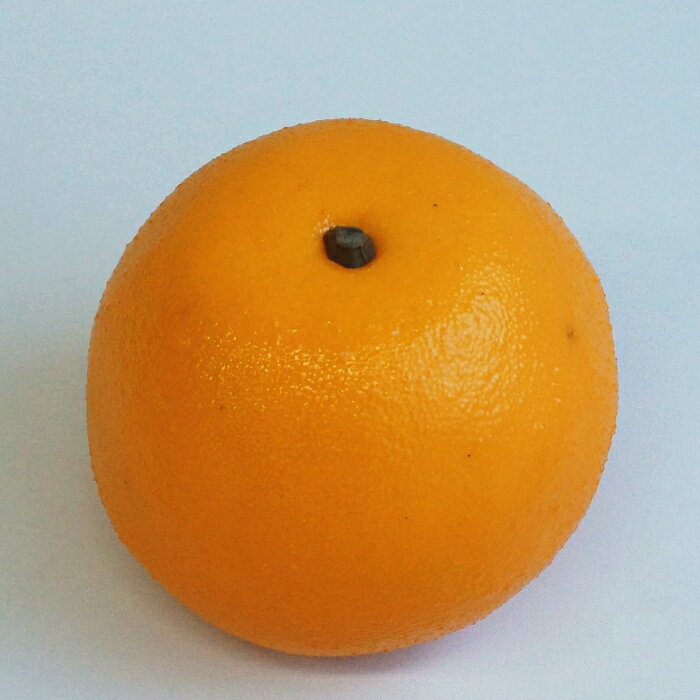 グレープフルーツ 花材 アレンジ 材料 資材 ...の紹介画像3