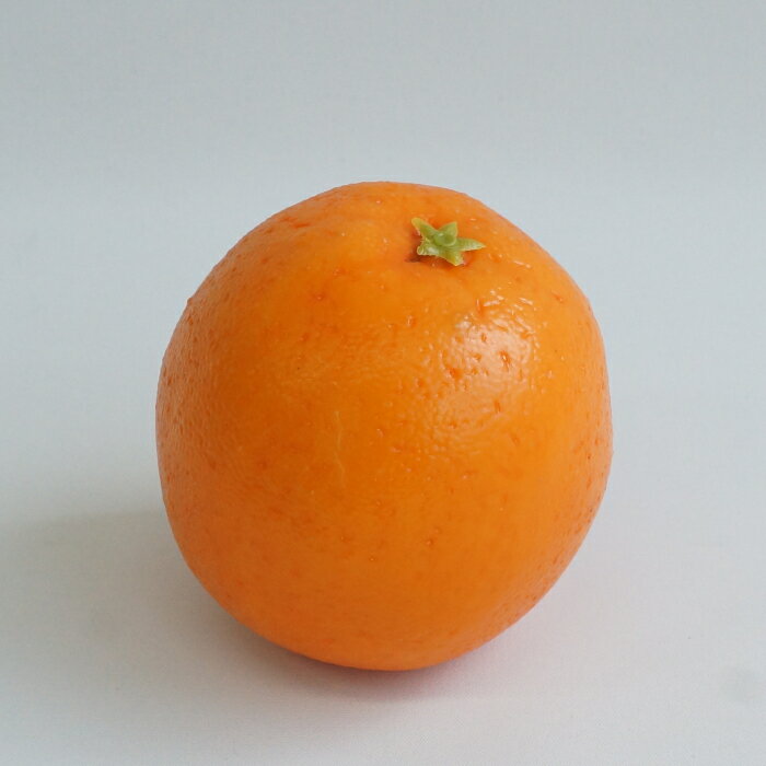 オレンジ　　　　　　　　　　　　　　花材 アレンジ 材料 資材 趣味 手芸 雑貨 装...