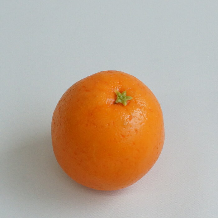 オレンジ　　　　　　　　　　　　　　花材 アレンジ 材料 資材 趣味 手芸 雑貨 装...