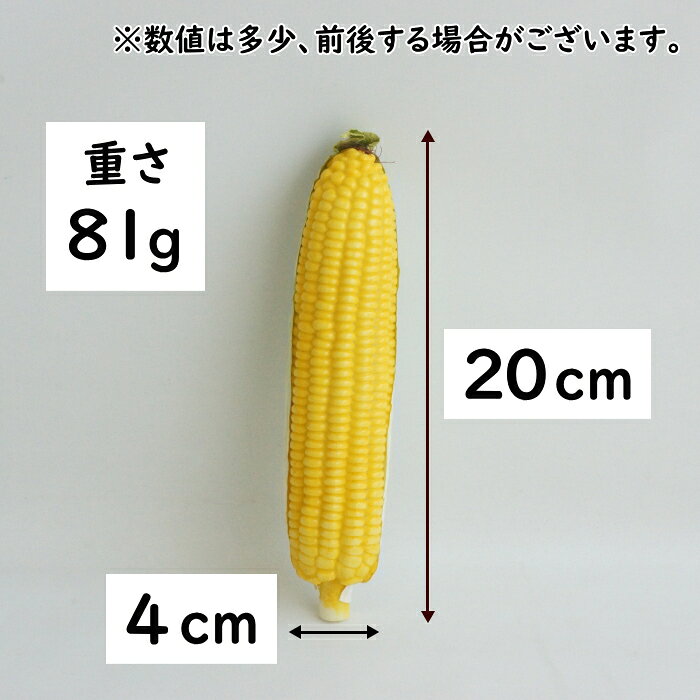 トウモロコシ(フェイク)                 アレンジ 材料 資材 趣味 手芸 雑貨 装飾 飾り ディスプレイ デコレーション ハンドメイド クラフト アート おしゃれ 素敵 かわいい 癒し 彩り フェイク 野菜 ベジタブル コーン corn [2]