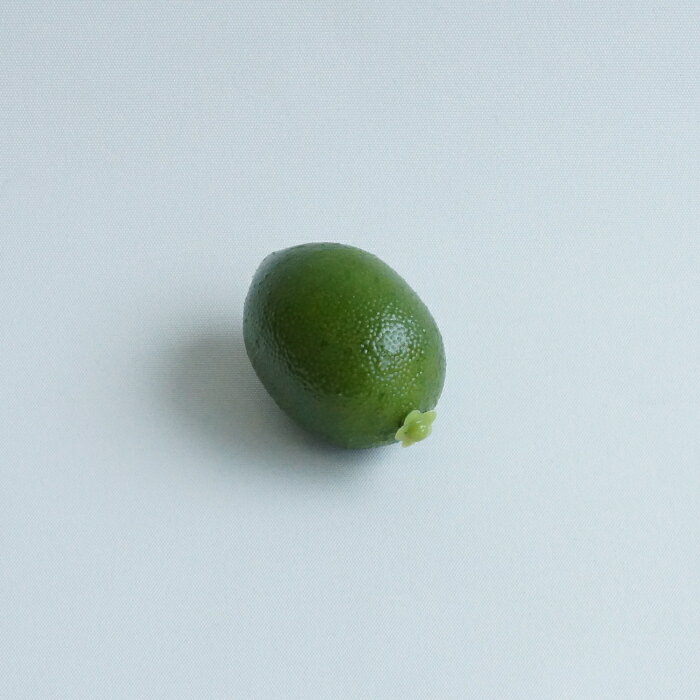 �ߥ˥ߥ˥饤�ࡡ�����������������������ֺ� ����� ���� ��� ��̣ ��� ���� ���� ���� �ǥ����ץ쥤 �ǥ��졼����� �ϥ�ɥᥤ�� ����ե� ������ ������� ��Ũ ���襤�� ���� �̤� ��ʪ �̼� �ե������ե롼�� lime