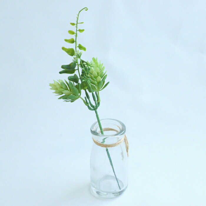 ホップファーンミックスピック　（ネコポス選択可）　　　　　　　　　　　　　　　花材 アレンジ 材料 資材 趣味 手芸 雑貨 装飾 飾り ディスプレイ デコレーション ハンドメイド クラフト アート おしゃれ 素敵 かわいい 癒し 彩り フェイクグリーン シダ植物 fern hopの商品画像 2