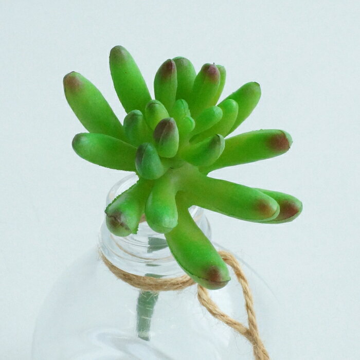 セダムピック　　　　　　　　　　　　花材 アレンジ 材料 資材 趣味 手芸 雑貨 装飾 飾り ディスプレイ デコレーション ハンドメイド クラフト アート おしゃれ 素敵 かわいい 癒し 彩り フェイクグリーン 多肉植物 succulent Sedum
