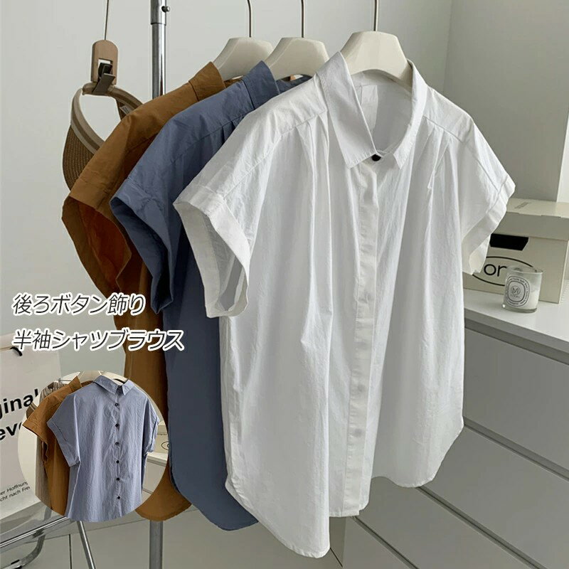 Ⱦµ����� ����� �򥷥�� �� �֥饦�� ����˥å� �ƥ���� Ⱦµ ̵�� ��ä��� �ʥ���� ���åȥ� �ե���µ ����ĥ֥饦�� �̶Х���� �礭��������...