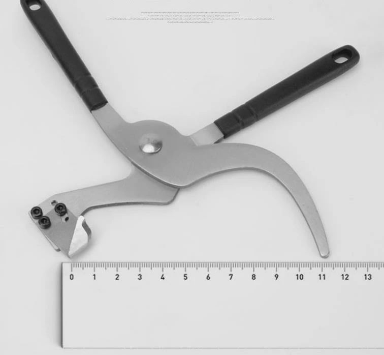 ���� ����ѥʥ��� �ľ����� ������ ������ �ľ�����ʥ��� �ץ饤�䡼�� �ؿ��դ� ���μ��� ������� �̼��� ��� ����������