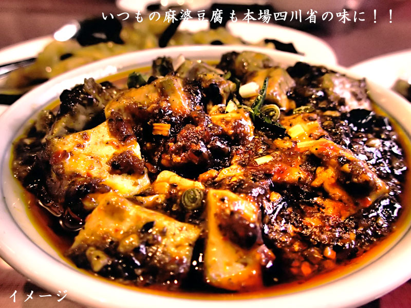 麻婆豆腐ソース ピー県豆板醤使用 500g