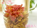 カーネーション入り工芸茶 清秀佳人-母の日の贈り物に(3粒入)