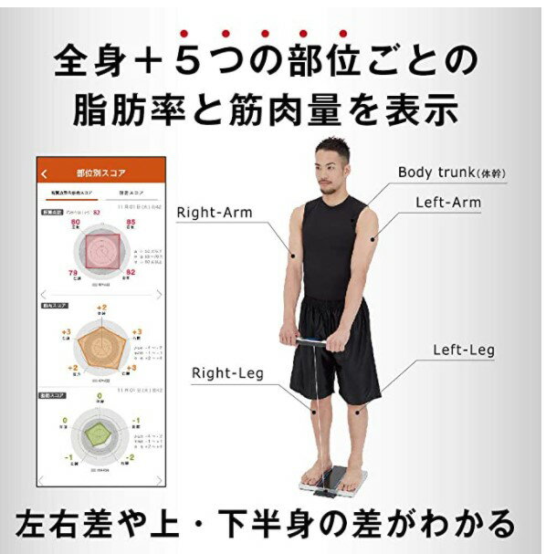 ■送料無料■ 体重計 体組成計 体重体組成計 タニタ スマホ連動 体脂肪計 体重計 RD-803 スマホ ヘルスメーター 体内年齢 TANITA ダイエット