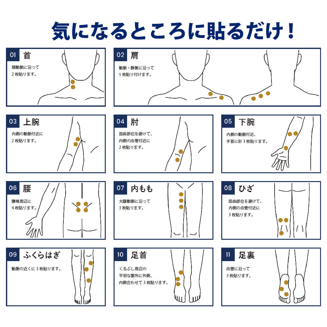 Dr. Supporter (�ɥ��������ݡ�����)�ꥫ�Х꡼�ѥå� 1������10���5���������Ի��ʡ�