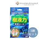 【商品名】樹液力 ゲルマニウム 快足シート 【商品規格】2枚入 【商品説明】足の裏 ふくらはぎ 肩・腰に！ 足の裏に貼って寝るだけリラックス 天然樹液エキス配合 今日一日の頑張った足をリフレッシュ ゲルマニウム配合 【表示成分】＜材質＞ ポリエステル、アクリル系粘着剤 ＜主成分＞ ゲルマニウム、トルマリン、ヨモギエキス、澱粉、真珠岩、木酢、竹酢、ユーカリエキス、高純度シリカ、どくだみエキス、ビワ葉エキス、キトサン、ビタミンC 【使用方法】●樹液シートのプリント面を固定シートの中央位置に貼りつけてください。 ●入浴後の清潔な状態で、就寝前の足の裏に貼りあててください。 ●機能及び衛生上、1枚1回限りのご使用としてください。 （固くなったり、変色してベトついてきたときはお取り替えください。） ●ご使用後はシートをはがし、足の裏をよく水で洗い流すか、濡れタオル等できれいに拭きとってください。 ●肩・腰・ひじ・ひざにもご使用できます。 【製造国】日本 【販売元】（株）奥田薬品 【広告文責】株式会社テイコク製薬社（電話：0120-86-3734）