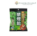 禁煙飴ミント味 70g《食品》