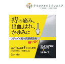 【指定第(2)類医薬品】【送料無料】エバージエルVII注入軟膏 2gx10《医薬品》