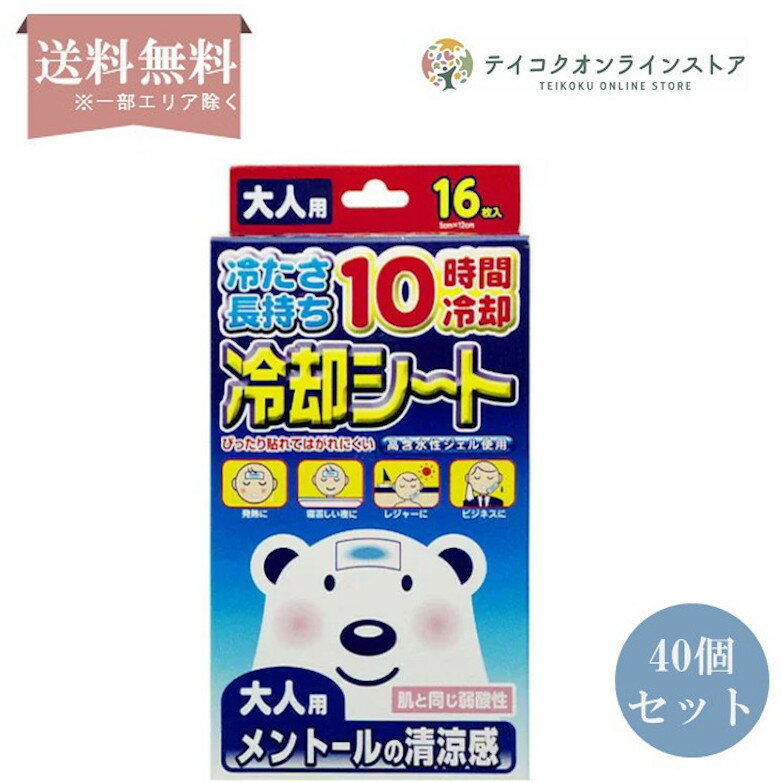  (40個セット)冷却シート大人用 (16枚)《医療用品》