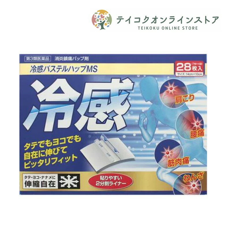 3ʡ䴶ѥƥϥåMS (28) ԰ʡ