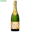 The CHOYA Ume Salute (ザ・チョーヤ ウメ サルーテ)梅サルーテ 750ml(4)