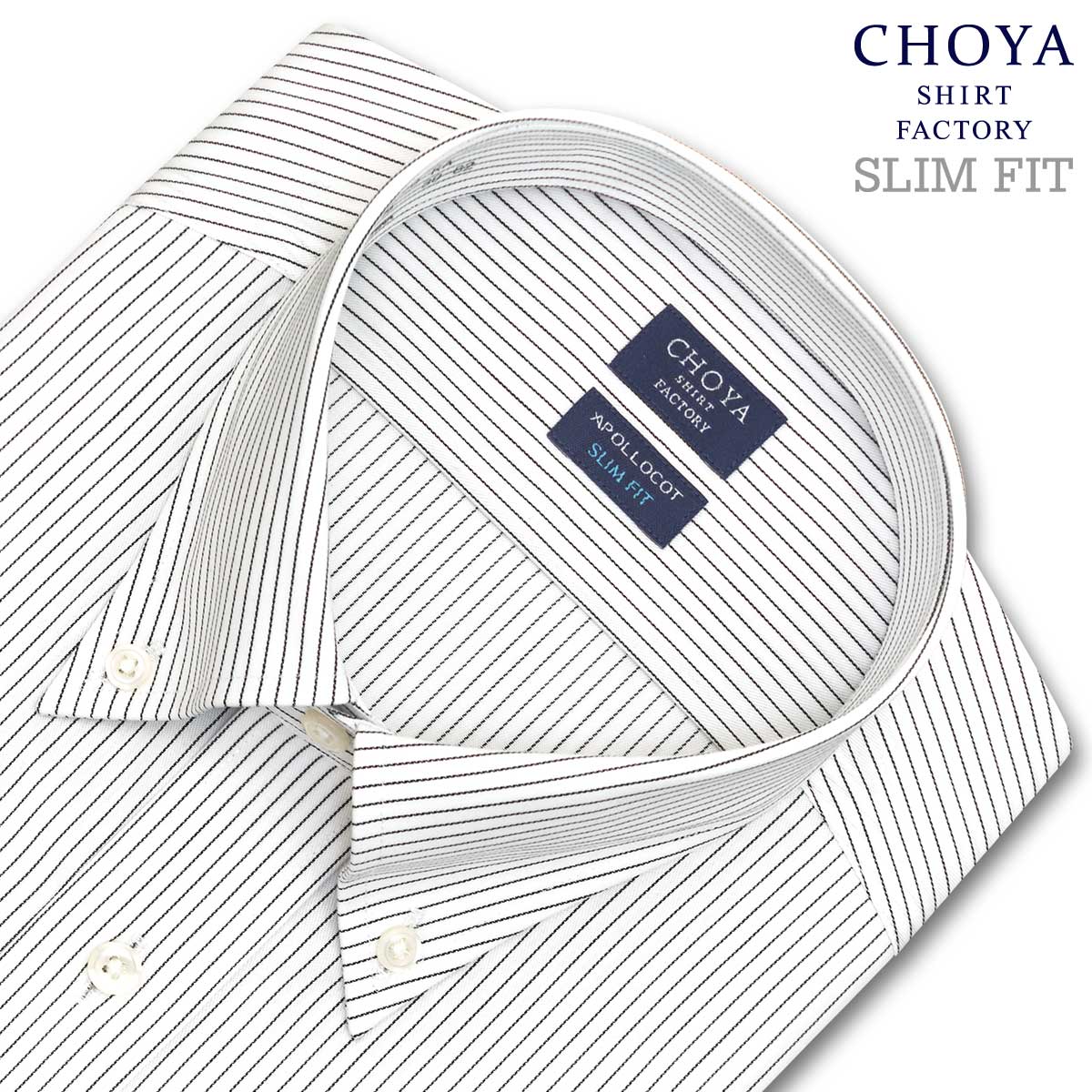 Y եå ¥ݥå Ĺµ 磻  ְ ԥ󥹥ȥ饤 ܥ󥷥 100% ֥å CHOYA SHIRT FACTORY(cfd141-480) 24FA