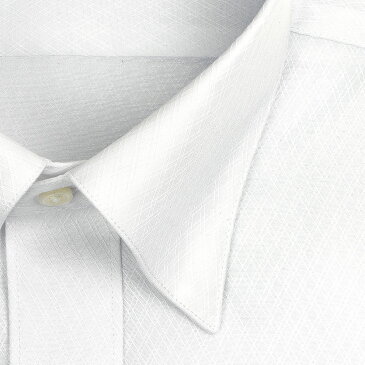 CHOYA SHIRT FACTORY 日清紡アポロコット 長袖 ワイシャツ メンズ 春夏秋冬 形態安定加工 白ドビーバイアスチェック スナップダウンシャツ|綿:100% ホワイト(cfd932-200)(200604ssd)