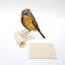 小鳥のメモスタンドC柄 80シート付き メモシート メモパッド 付箋 野鳥 便箋 メモ帳