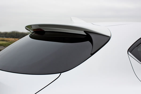 アクセラ BM系 後期　スポーツ専用リアルーフリップ　ヴァリアント 塗装済　ガレージベリー