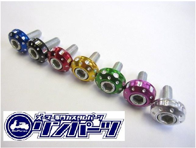 フロントカウル取り付け 飾りボルトセット Ver3 RinParts/リンパーツ