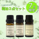 【7月限定】Lapature エッセンシャルオイル(精油)10ml 3本 限定セット
